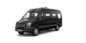 15 Passenger Luxury Van Rental
